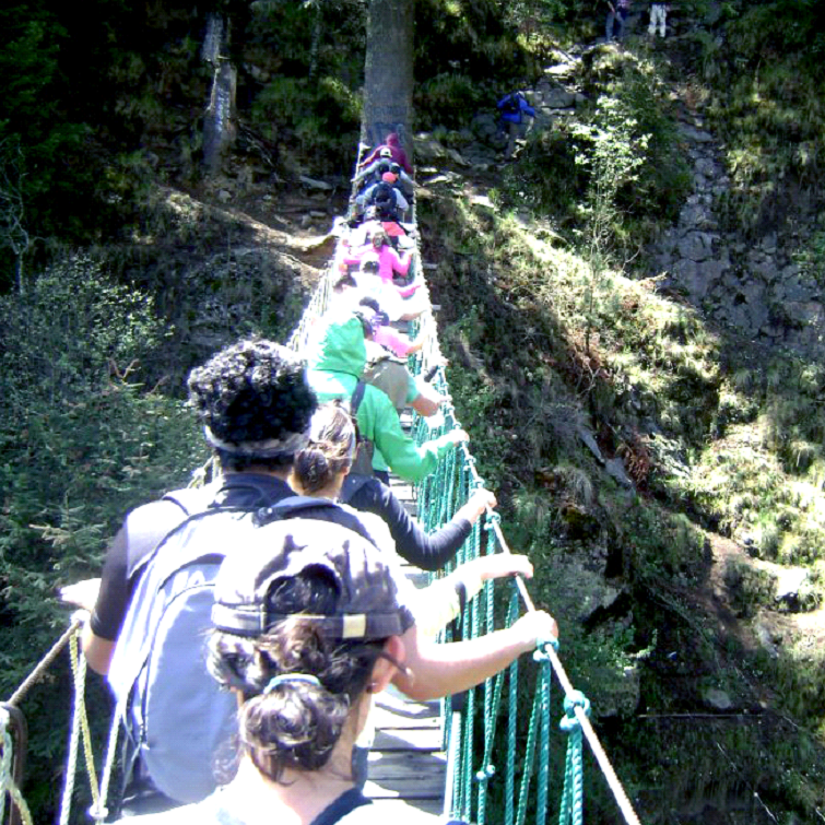 Puente colgante de el albergue